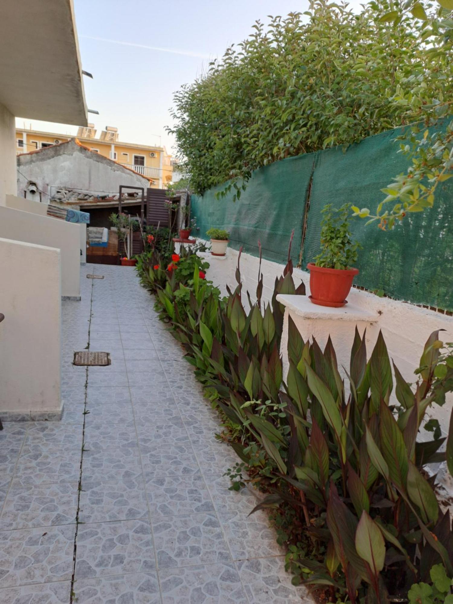 Tony'S Apartments Agios Georgios  Exteriér fotografie